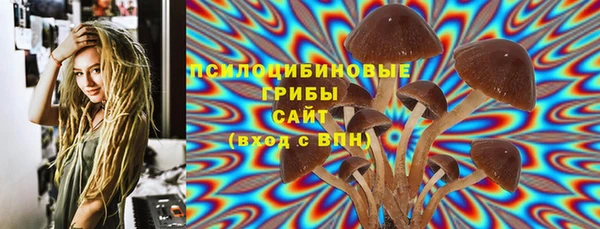 синтетический гашиш Киреевск