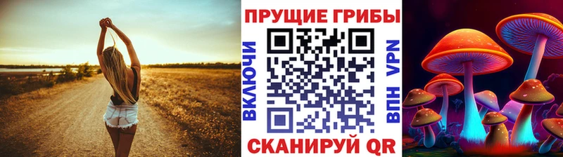 Купить закладки  Альметьевск  Псилоцибиновые грибы Psilocybe 