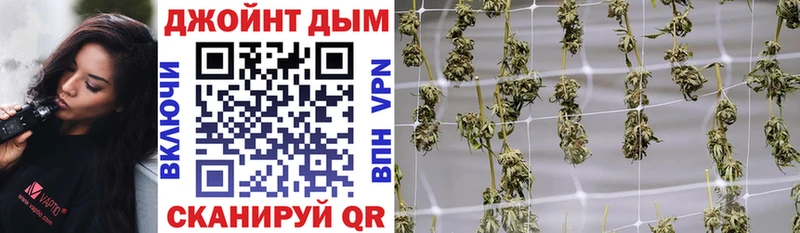 Бошки марихуана THC 21%  Купить закладки  Альметьевск 